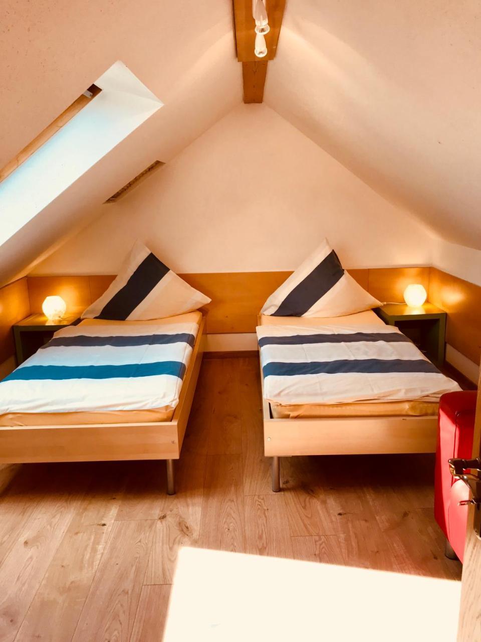 Ferienwohnungen "Am Muehlteich" Radeburg Buitenkant foto